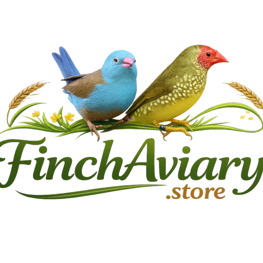 Buy Finches Usa