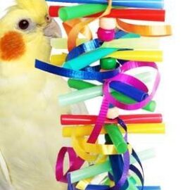 Party Time