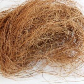 Coco Fiber