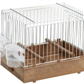 2GR Song Bird Cage for Exposition Art. 377
