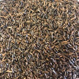 Nyjer Seed