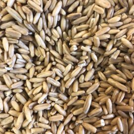 Oats